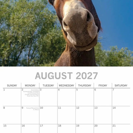 The Gifted Stationary Ezel Kalender 2027