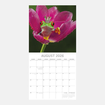 The Gifted Stationary Fabulous Frogs Kalender 2026