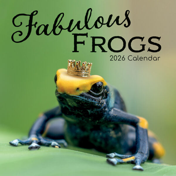 The Gifted Stationary Fabulous Frogs Kalender 2026