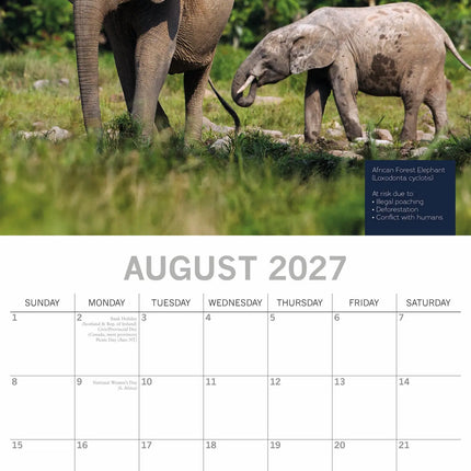 The Gifted Stationary Fragile Earth Kalender 2027