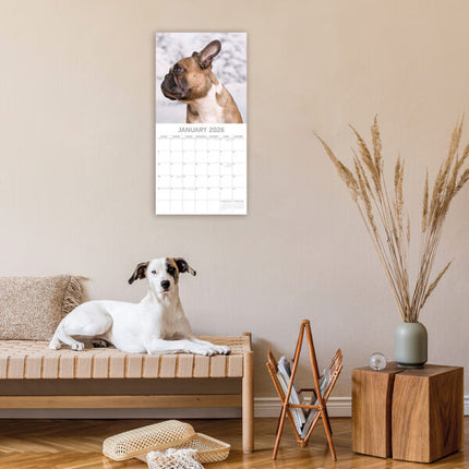 The Gifted Stationary Franse Bulldog Kalender 2026