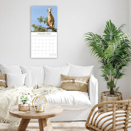 The Gifted Stationary Goats in Trees Kalender 2026