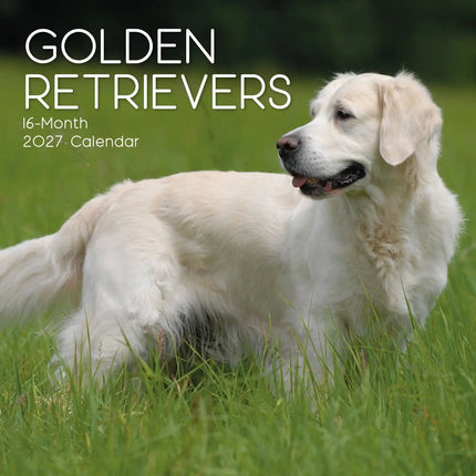 The Gifted Stationary Golden Retriever Kalender 2027