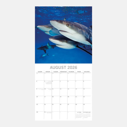 The Gifted Stationary Haaien Kalender 2026