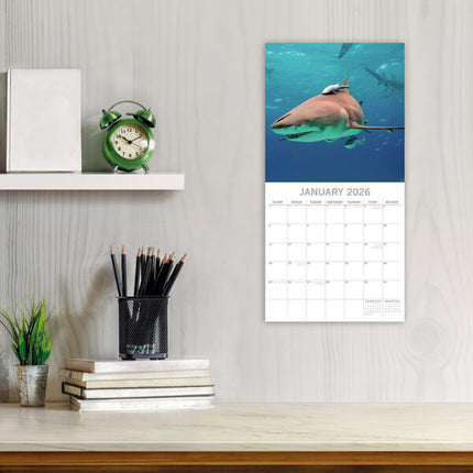 The Gifted Stationary Haaien Kalender 2026