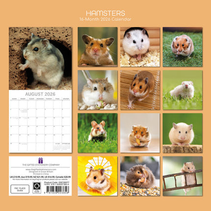 The Gifted Stationary Hamster Kalender 2026