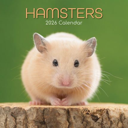 The Gifted Stationary Hamster Kalender 2026