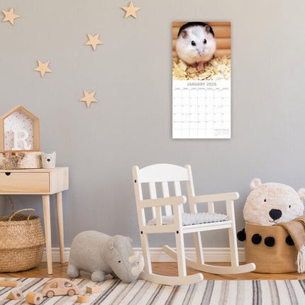 The Gifted Stationary Hamster Kalender 2027