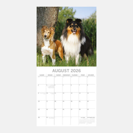 The Gifted Stationary Honden en Puppies Kalender 2026