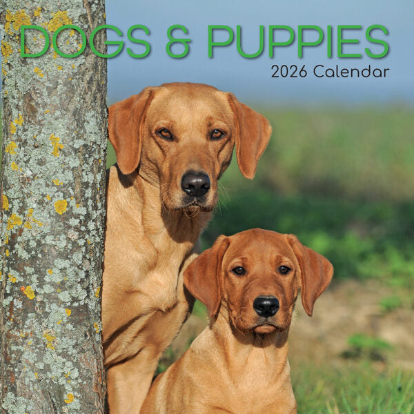 The Gifted Stationary Honden en Puppies Kalender 2026
