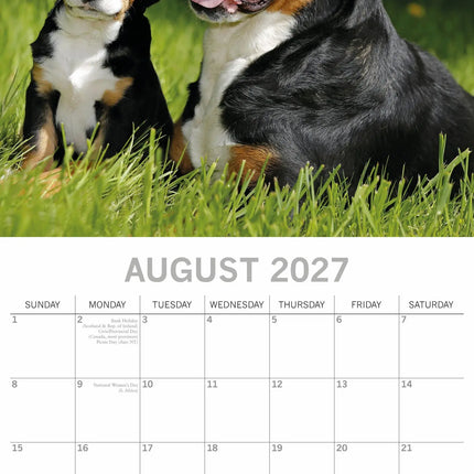 The Gifted Stationary Honden en Puppies Kalender 2027