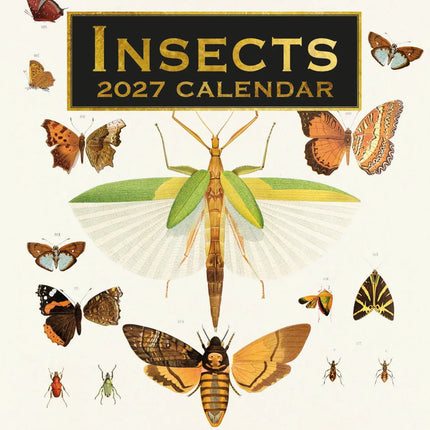 The Gifted Stationary Insects Kalender 2027