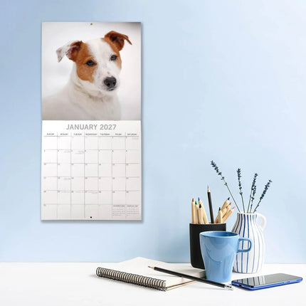 The Gifted Stationary Jack Russell Terrier Kalender 2027