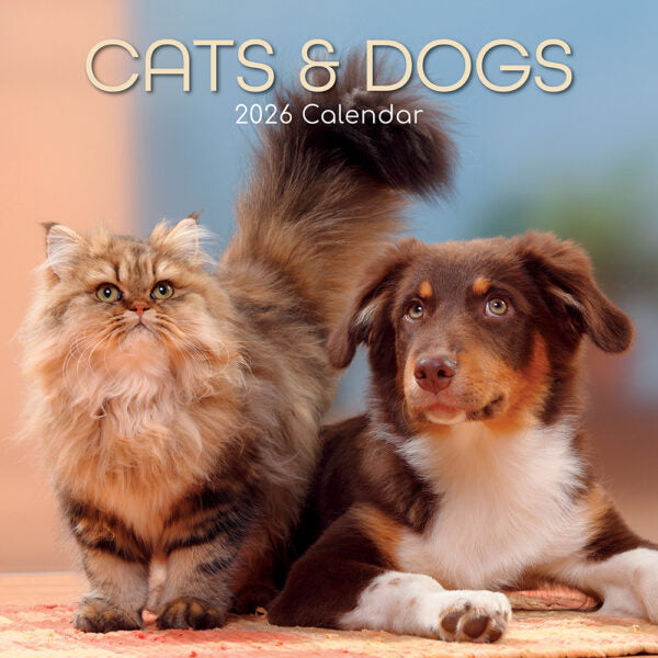The Gifted Stationary Katten & Honden Kalender 2026