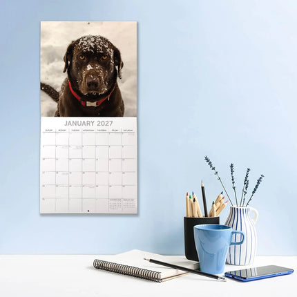 The Gifted Stationary Labrador Retriever Mixed Kalender 2027