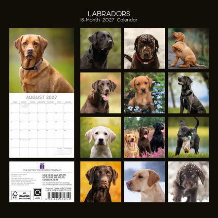 The Gifted Stationary Labrador Retriever Mixed Kalender 2027