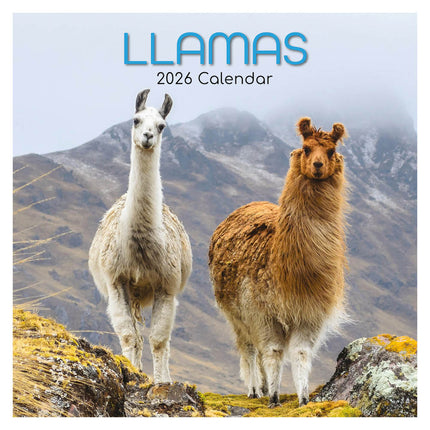The Gifted Stationary Lama's 16 Maanden Kalender 2026