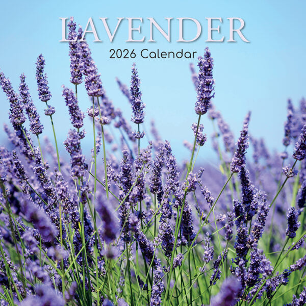 The Gifted Stationary Lavendel Kalender 2026