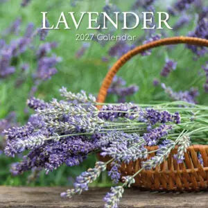 The Gifted Stationary Lavendel Kalender 2027