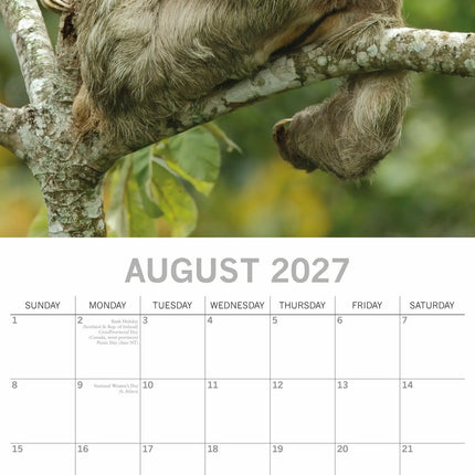 The Gifted Stationary Luiaard Kalender 2027