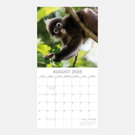 The Gifted Stationary Monkey Business Kalender 2026