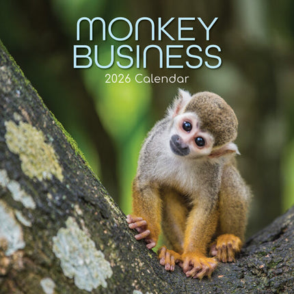 The Gifted Stationary Monkey Business Kalender 2026