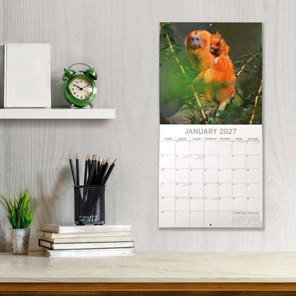 The Gifted Stationary Monkey Business Kalender 2027
