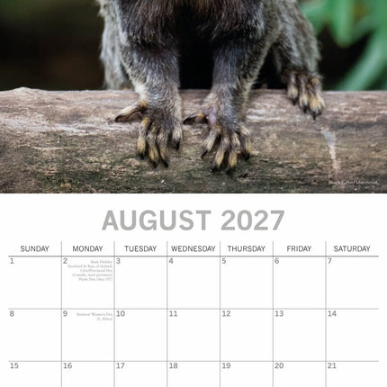 The Gifted Stationary Monkey Business Kalender 2027