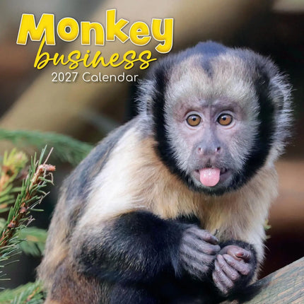 The Gifted Stationary Monkey Business Kalender 2027