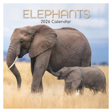 The Gifted Stationary Olifanten Kalender 2026