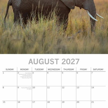 The Gifted Stationary Olifanten Kalender 2027