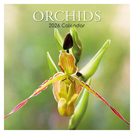 The Gifted Stationary Orchidee Kalender 2026