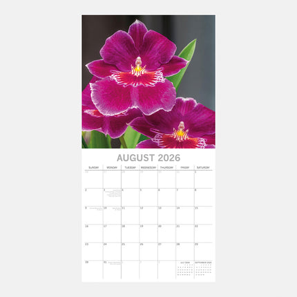 The Gifted Stationary Orchidee Kalender 2026