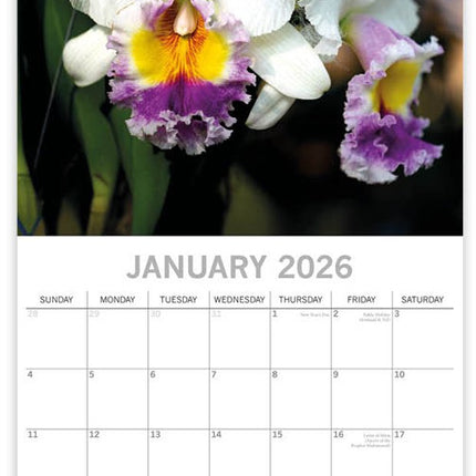 The Gifted Stationary Orchidee Kalender 2026