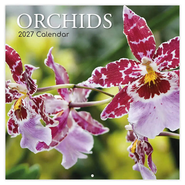 The Gifted Stationary Orchidee Kalender 2027