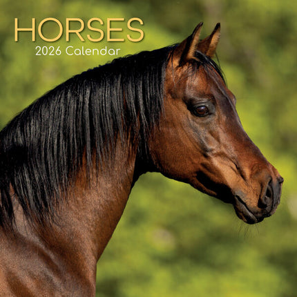 The Gifted Stationary Paarden Kalender 2026