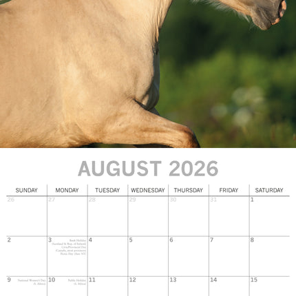The Gifted Stationary Paarden Kalender 2026