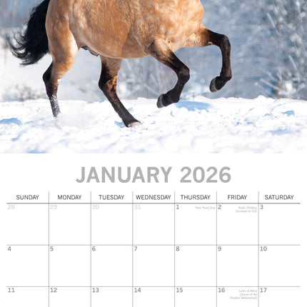 The Gifted Stationary Paarden Kalender 2026