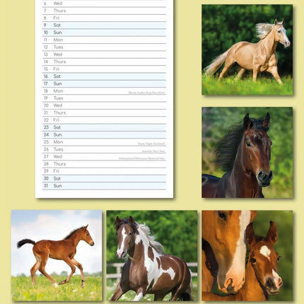 The Gifted Stationary Paarden Kalender 2027 Slimline