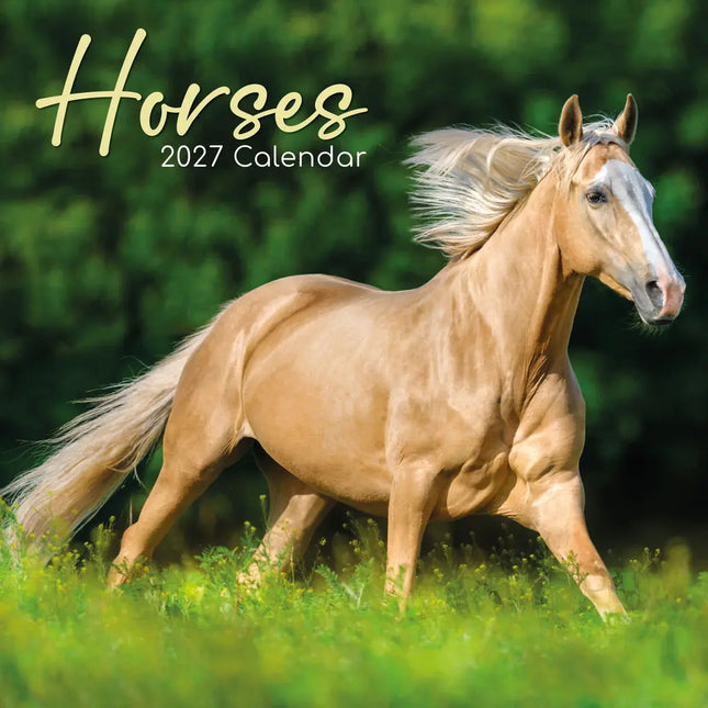 The Gifted Stationary Paarden Portretten Kalender 2027