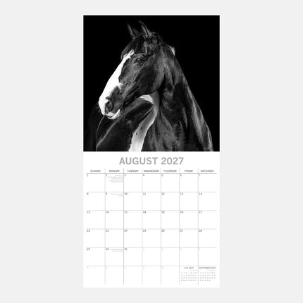 The Gifted Stationary Paarden Portretten Kalender 2027