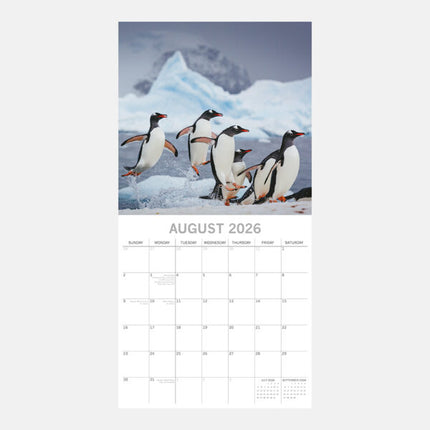 The Gifted Stationary Pinguïn Kalender 2026