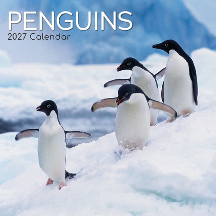 The Gifted Stationary Pinguïn Kalender 2027