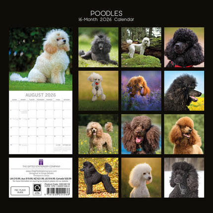 The Gifted Stationary Poedel Kalender 2026