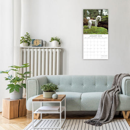 The Gifted Stationary Poedel Kalender 2026