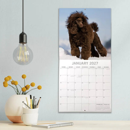 The Gifted Stationary Poedel Kalender 2027