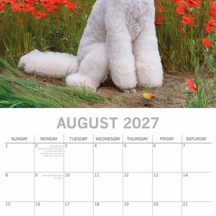 The Gifted Stationary Poedel Kalender 2027