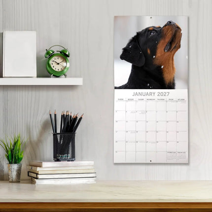 The Gifted Stationary Rottweiler Kalender 2027