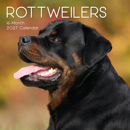 The Gifted Stationary Rottweiler Kalender 2027
