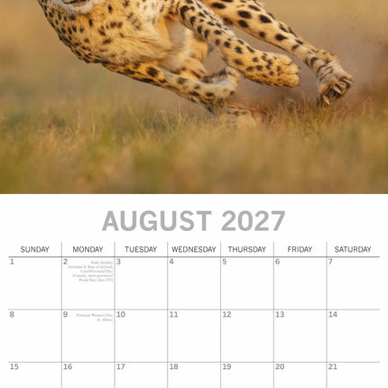 The Gifted Stationary Safari Kalender 2027